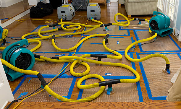 Professional Sewage Cleanup technician working in Kent City, MI